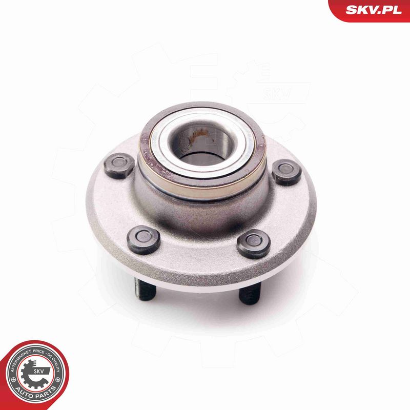 ESEN SKV 29SKV152 Wheel Bearing Kit