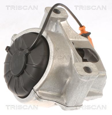 TRISCAN felfüggesztés, motor 8505 29133