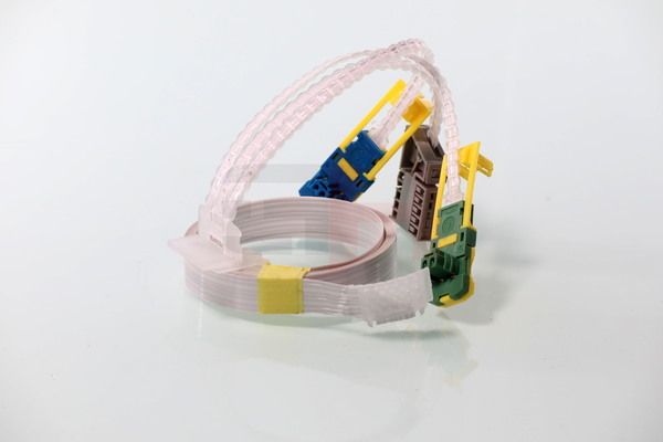 Tulede, kojameeste kangilüliti, GH GH-793768