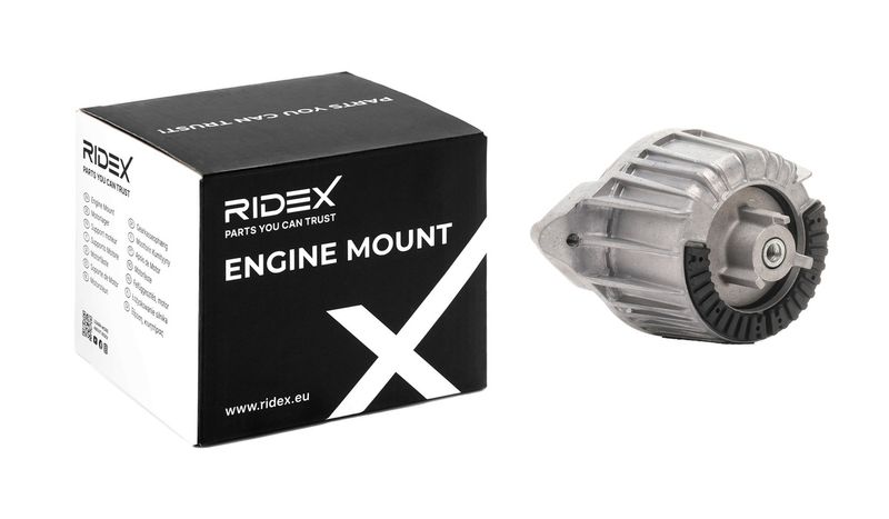 окачване, двигател RIDEX