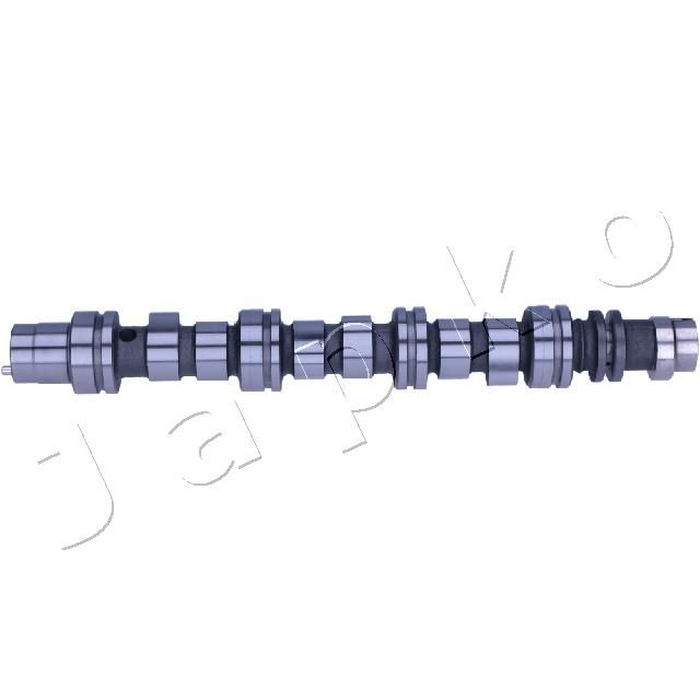 6DW013_3.JPG