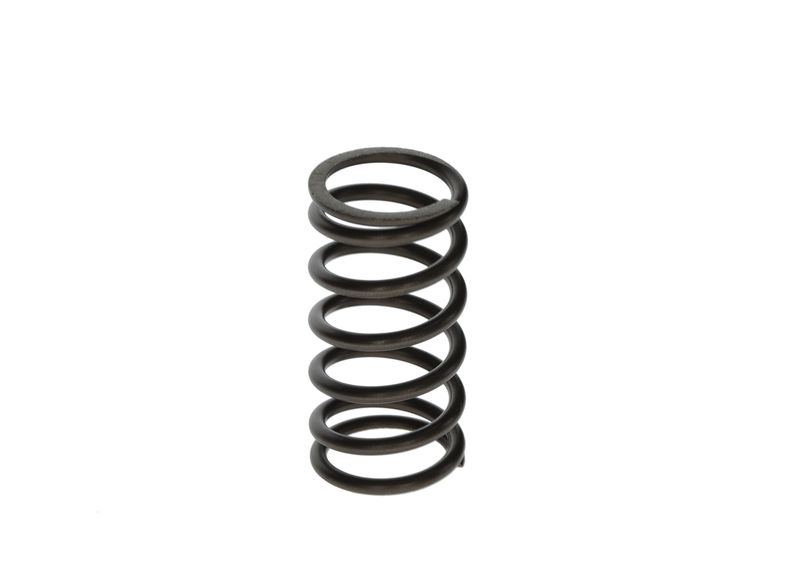 BOSCH F00N201853 Spring