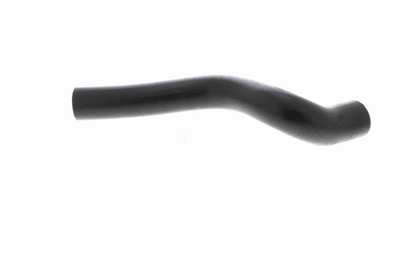 VAICO V40-1170 Radiator Hose