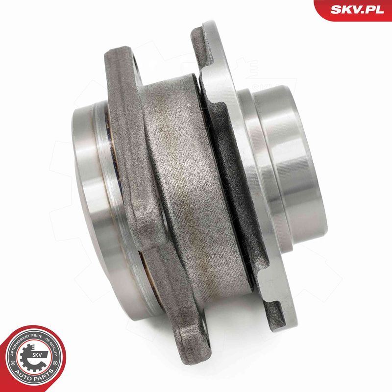 ESEN SKV 29SKV609 Wheel Bearing Kit