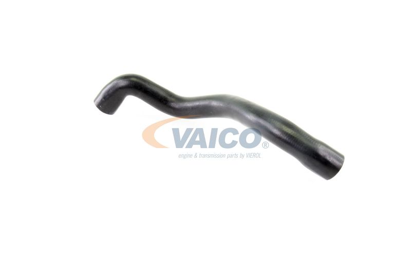 VAICO V30-2686 Radiator Hose