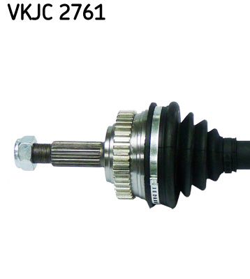 VKJC 2761_2.JPG
