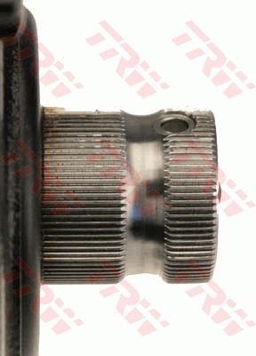 0161JRB5049_2.JPG
