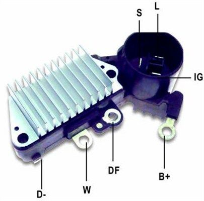 DDF_AMP0833_WR.JPG