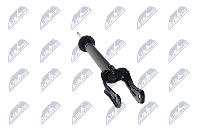 Amort, NTY A-CH-079