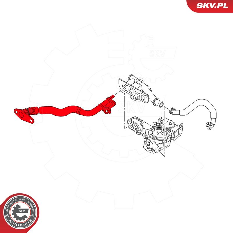 Voolik, Karterituulutus, ESEN SKV 54SKV035