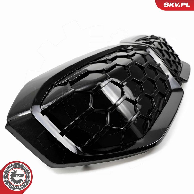 Radiaatorivõre, ESEN SKV 66SKV317