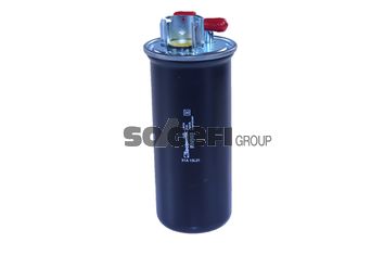31154.BMP