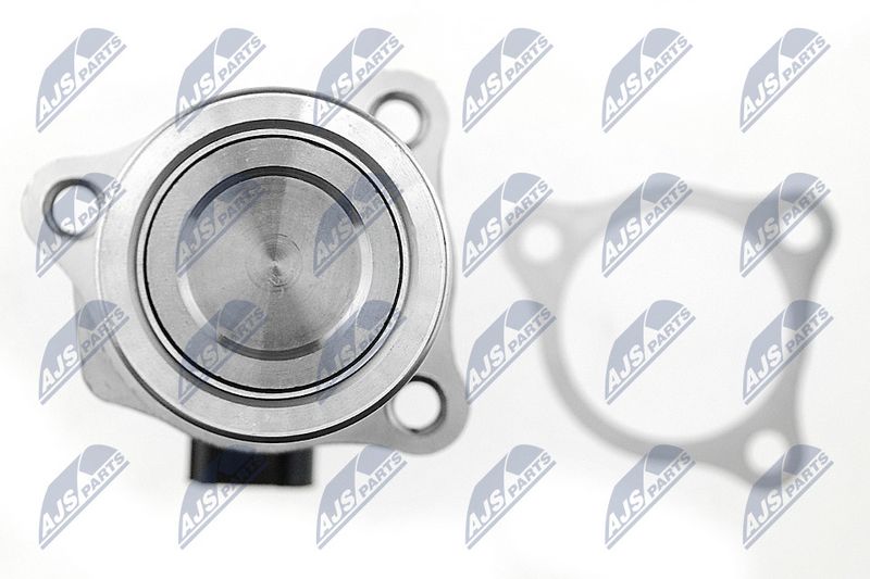 EGR-klapp, NTY EGR-NS-001