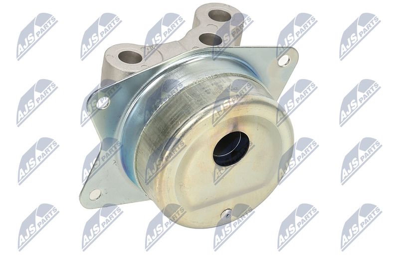 Paigutus, Mootor, NTY ZPS-PL-049