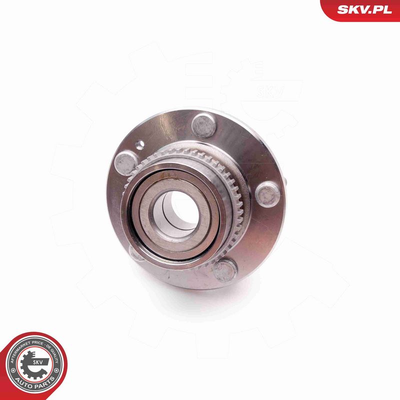 ESEN SKV 29SKV058 Wheel Bearing Kit
