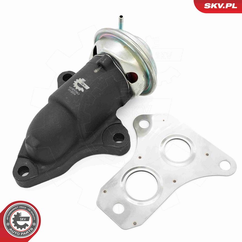 ESEN SKV 14SKV263 EGR Valve