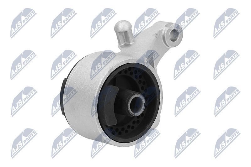 Paigutus, Mootor, NTY ZPS-PL-036