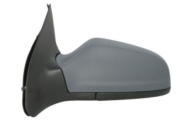 BLIC 5402-04-1129238P Exterior Mirror