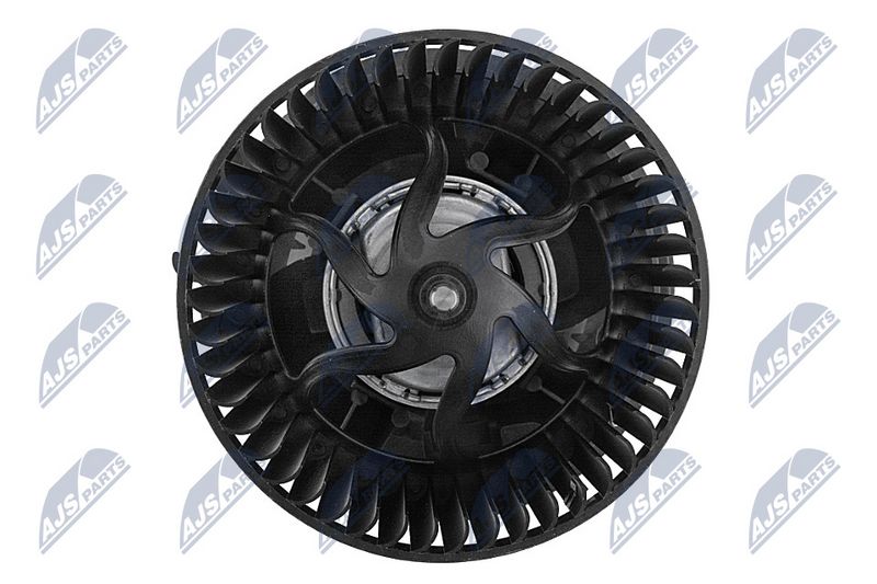 Salongipuhur, NTY EWN-CT-013
