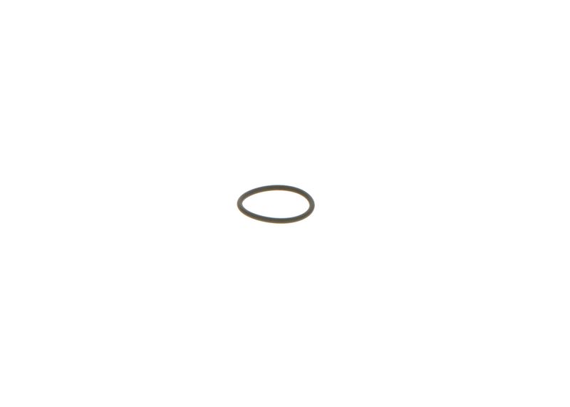 BOSCH 1928300277 Rubber Ring