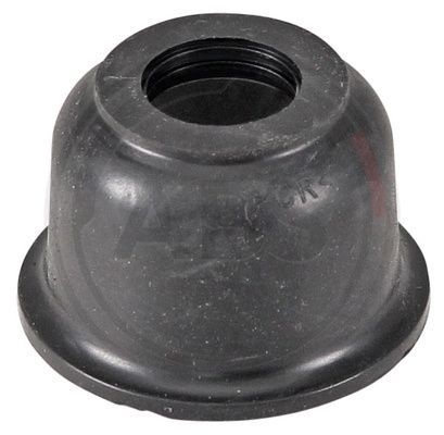 279005.JPG