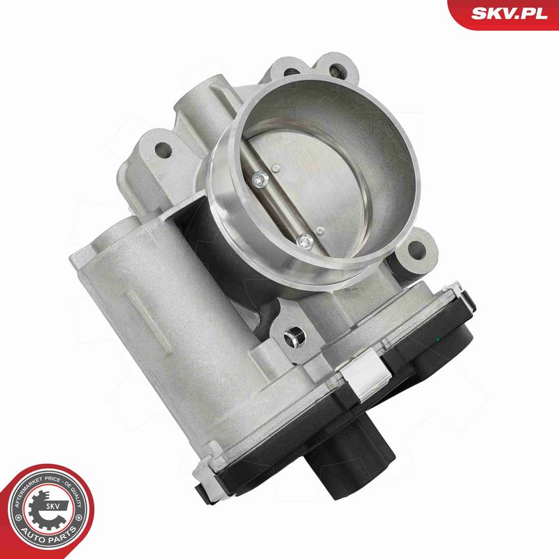 ESEN SKV 12SKV194 Throttle Body