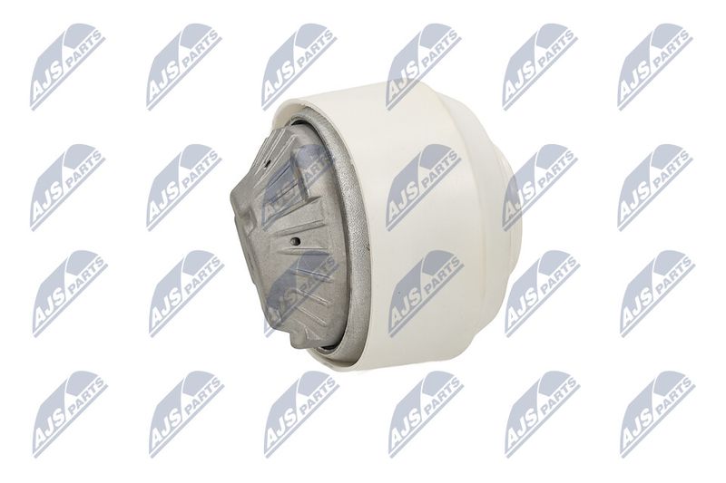 Paigutus, Mootor, NTY ZPS-ME-109