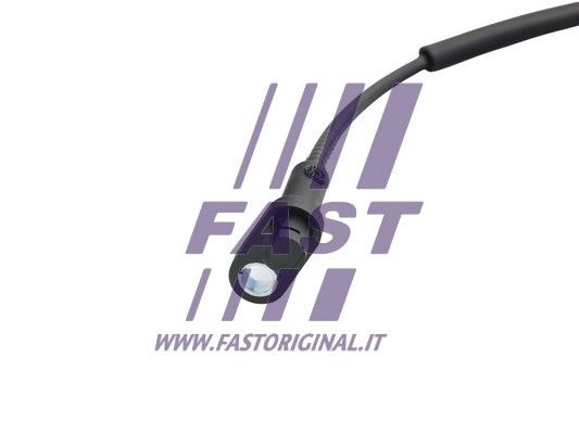FT80409_2_1.JPG