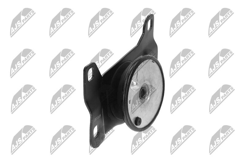 Paigutus, Mootor, NTY ZPS-FR-052