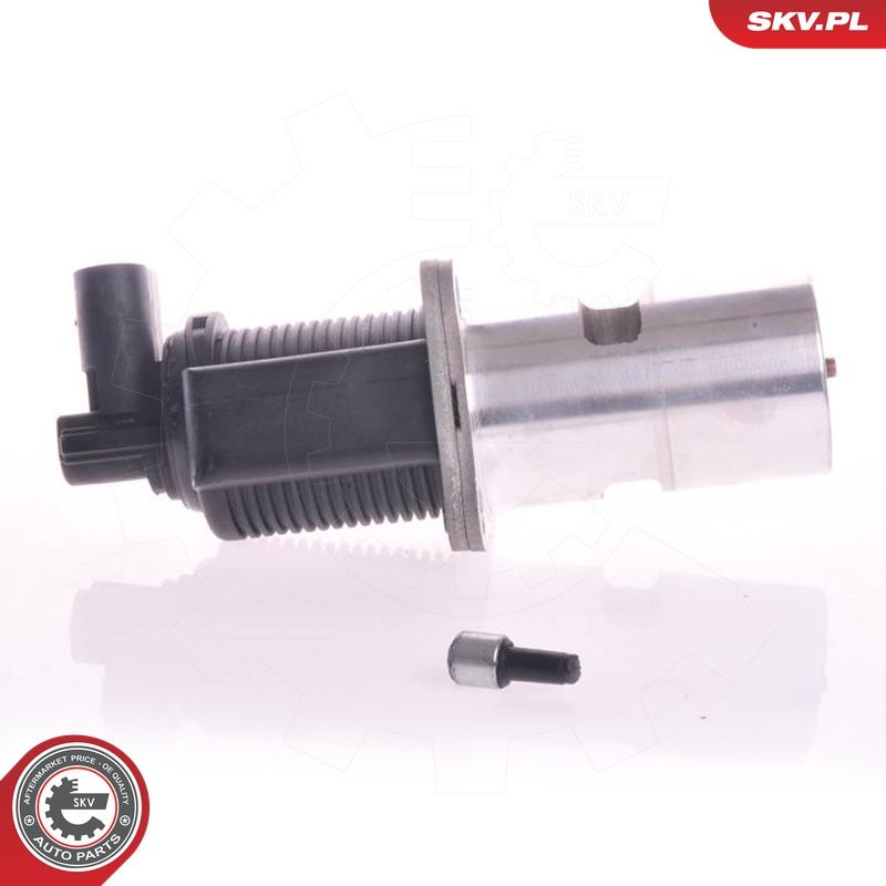 EGR-klapp, ESEN SKV 14SKV011