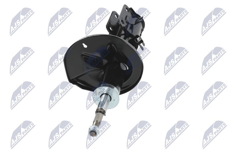 Amort, NTY A-CH-052