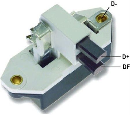 DDF_AMP0028_WR.JPG