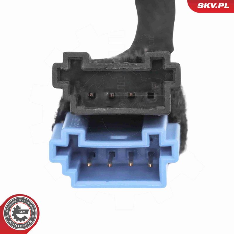 ESEN SKV 52SKV839 Electric Motor, tailgate
