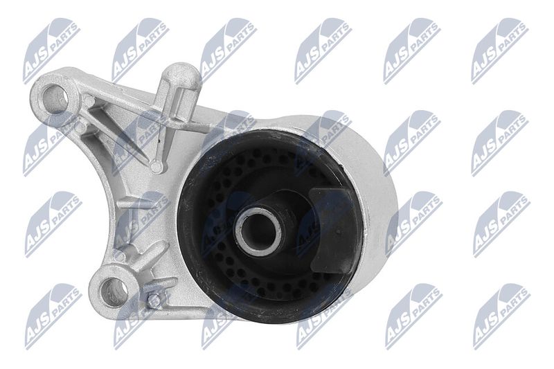 Paigutus, Mootor, NTY ZPS-PL-036