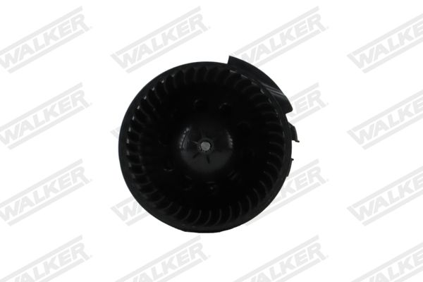 wbl01470_5352157.JPG