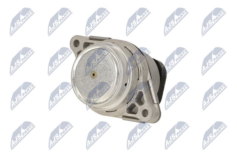 Paigutus, Mootor, NTY ZPS-LR-007