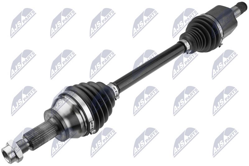 NPW-LR-029_1-WM.JPG