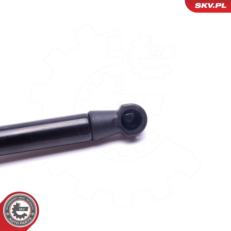 Gaasivedru, pagasi-, veoruum, ESEN SKV 52SKV755