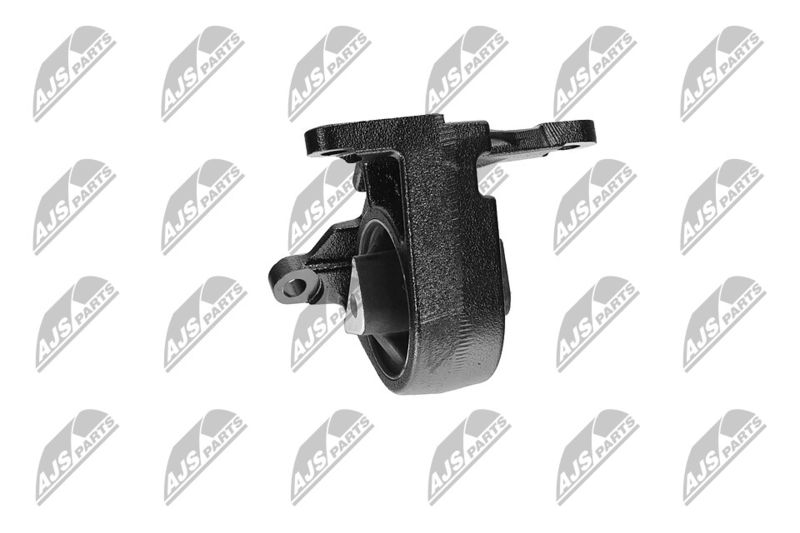 Paigutus, Mootor, NTY ZPS-CH-087