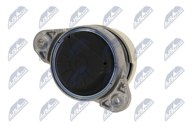 Paigutus, Mootor, NTY ZPS-ME-011