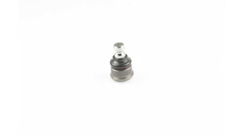 SKF VKDS 316006 Šarnyras / girgždukas