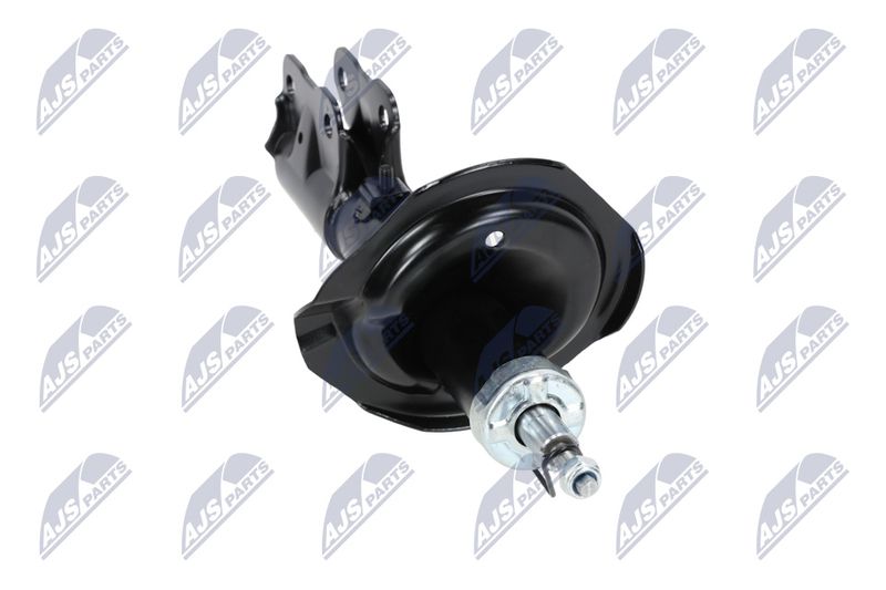 Amort, NTY A-MS-015