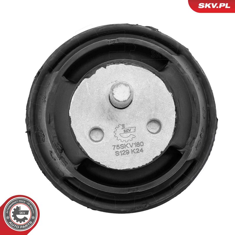 Paigutus, Mootor, ESEN SKV 75SKV180