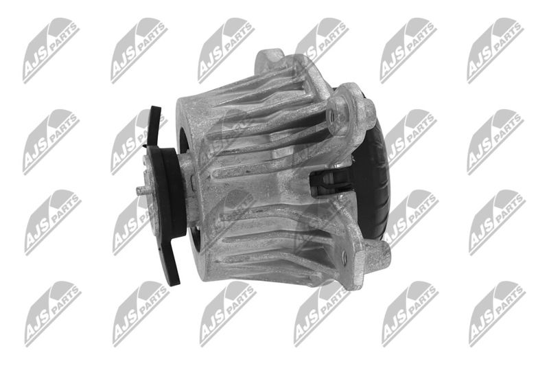 Paigutus, Mootor, NTY ZPS-ME-030