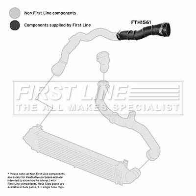 FTH1561_1101687.JPG