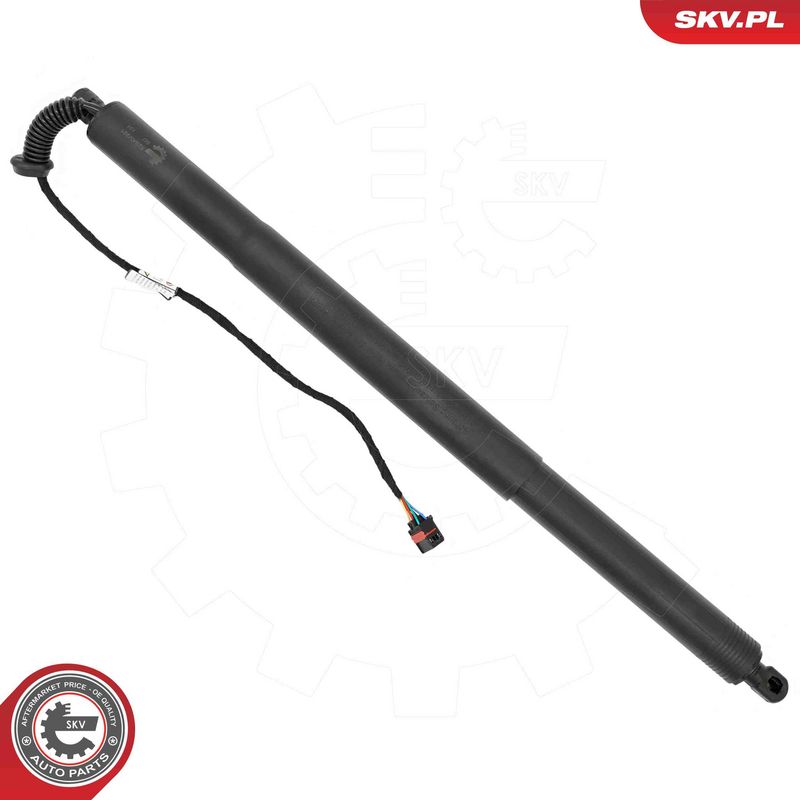 ESEN SKV 52SKV221 Electric Motor, tailgate