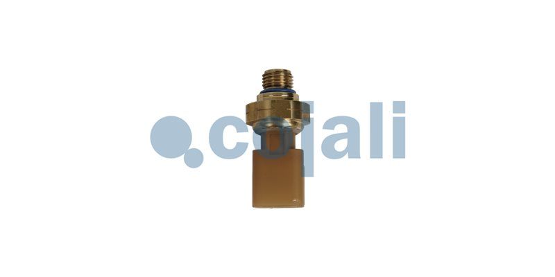 Senzor COJALI 2262049