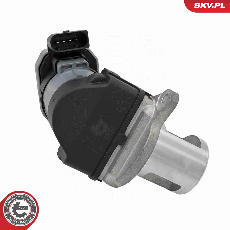 ESEN SKV 14SKV310 EGR Valve
