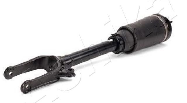 MA-AS181_1.JPG