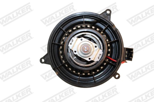 wbl00878_5350048.JPG